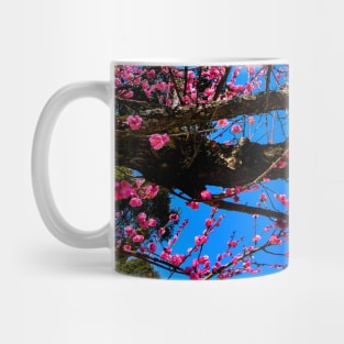 Photography - Spring in Japan Mug